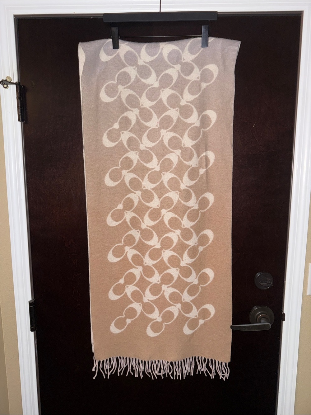 Coach Ombré Patterned Scarf